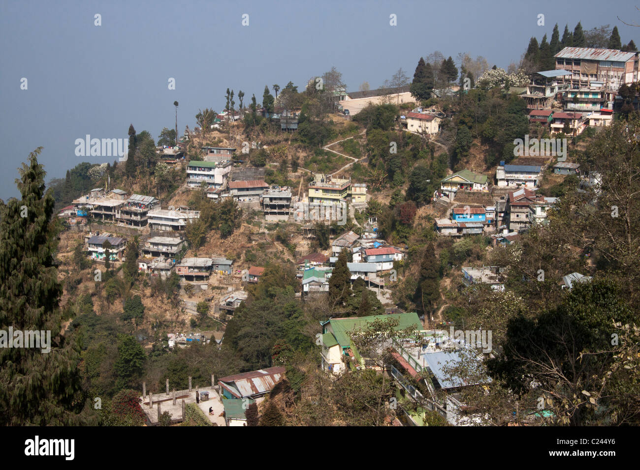 Case colorate sulle pendici collinari di Darjeeling, West Bengal, India. Foto Stock