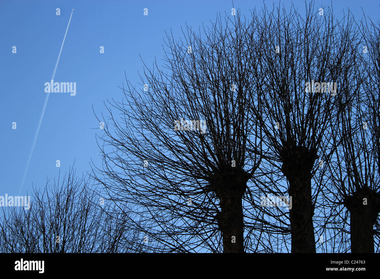 Un aereo che vola in alto nel cielo blu e alberi senza foglie davanti alla foto. Sondermarken pak, Copenaghen , Demark Foto Stock