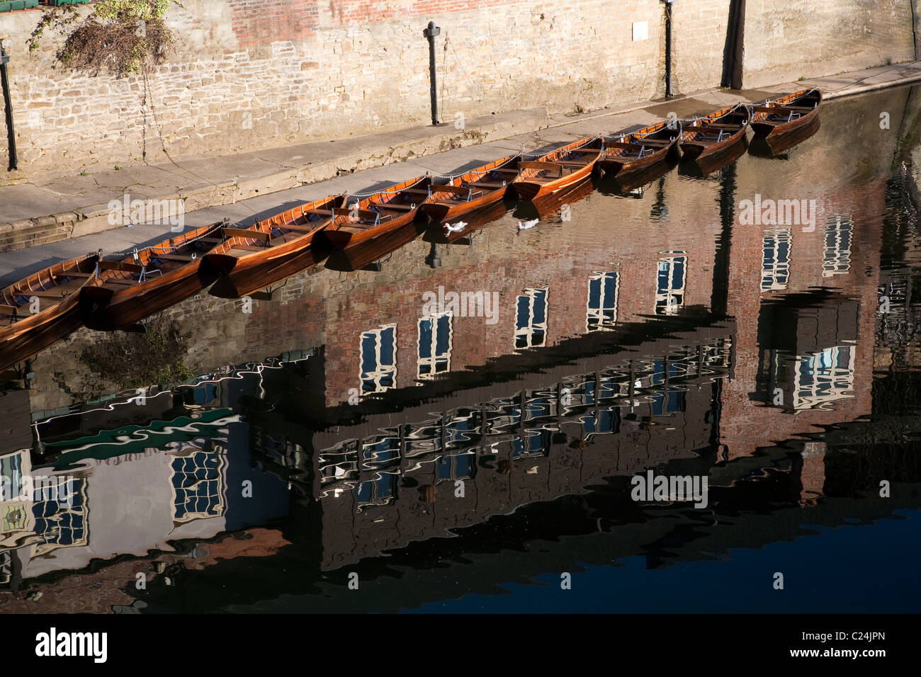 Barche a remi in fiume usura da Framwellgate Bridge, Durham Foto Stock