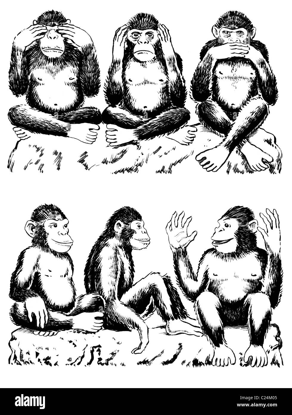 Tre Scimmie acting out famosa espressione; vedere alcun male, non sento, non parlo. Anche tre scimmie vedere, sentire parlare di amore al di sotto di quelli vecchi Foto Stock