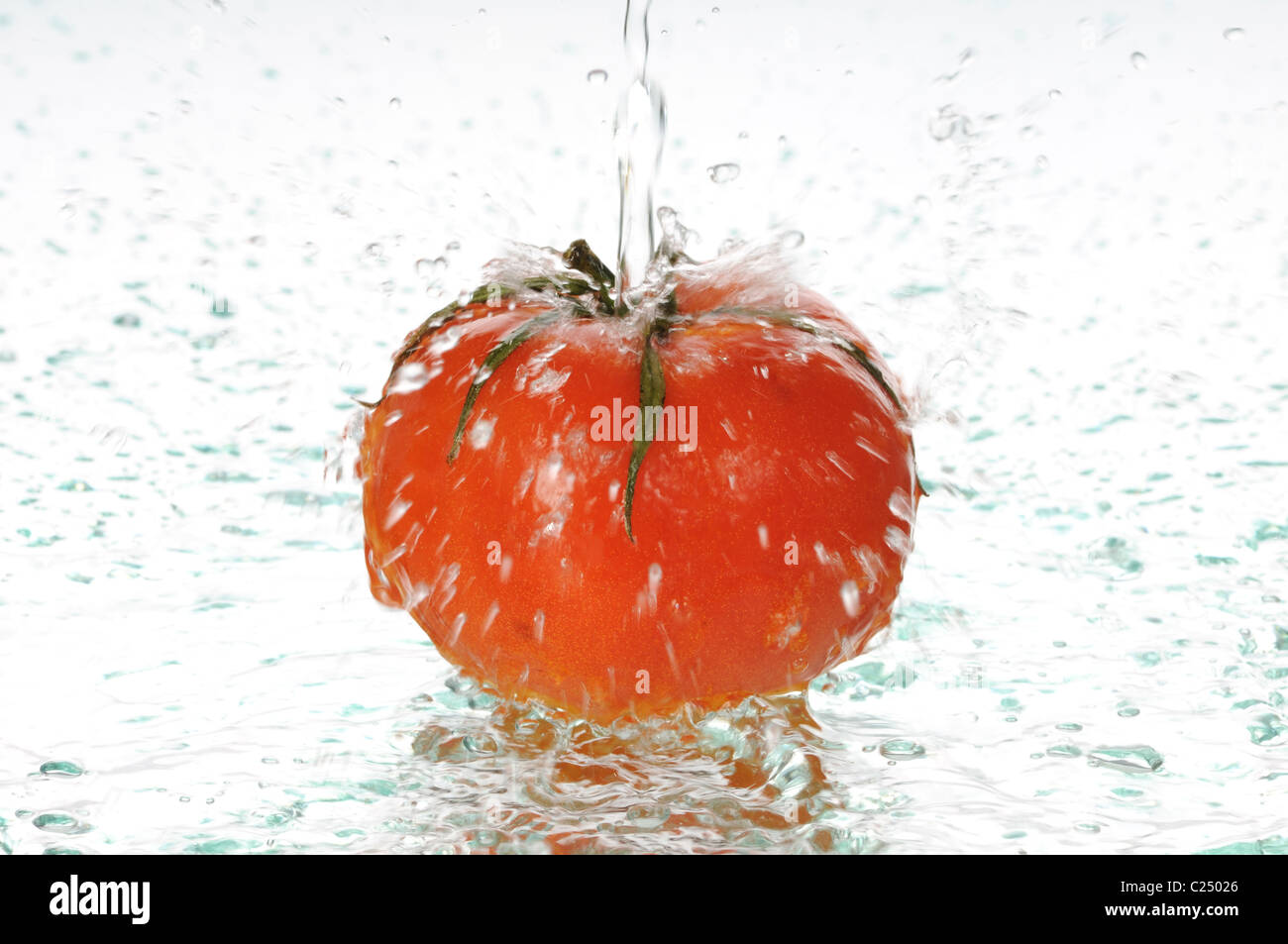 Su un maturo di pomodoro rosso versare acqua Foto Stock