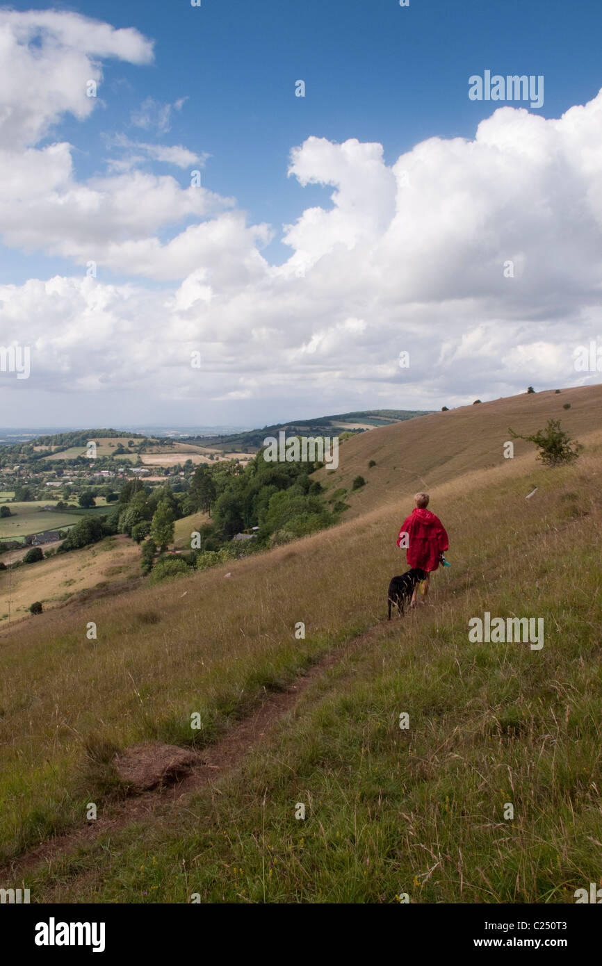 Una donna e il suo cane a camminare sulla strada del Costwold lunga distanza sentiero sul comune Selsley vicino a Stroud, Gloucestershire, Cotswolds, REGNO UNITO Foto Stock