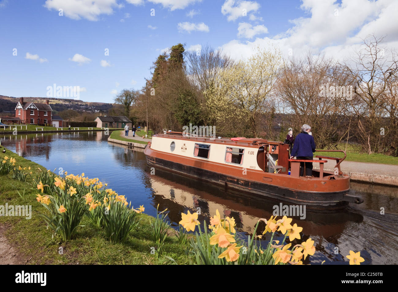 Narrowboat vela sul Llangollen canal con narcisi in primavera. Froncysyllte, Wrexham, il Galles del Nord, Regno Unito, Gran Bretagna. Foto Stock