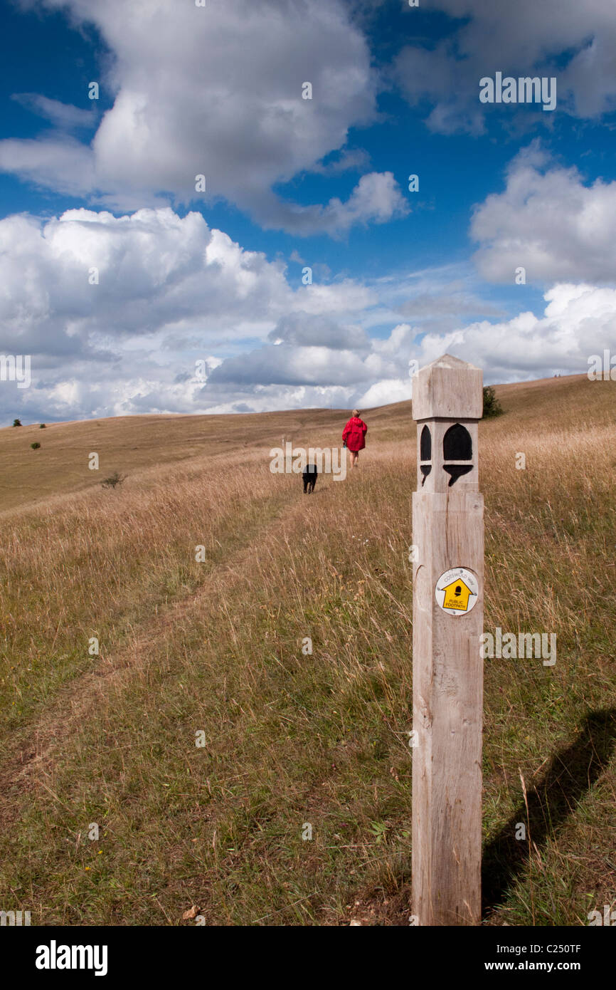 Una donna e il suo cane a camminare sulla strada del Costwold lunga distanza sentiero sul comune Selsley vicino a Stroud, Gloucestershire, Cotswolds, REGNO UNITO Foto Stock