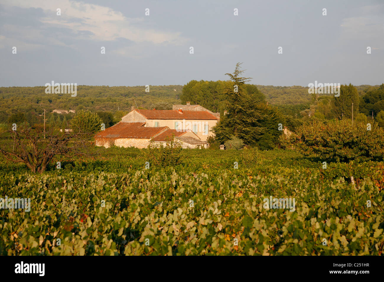 Casa nel Luberon area collinare, Vaucluse Provence, Francia. Foto Stock