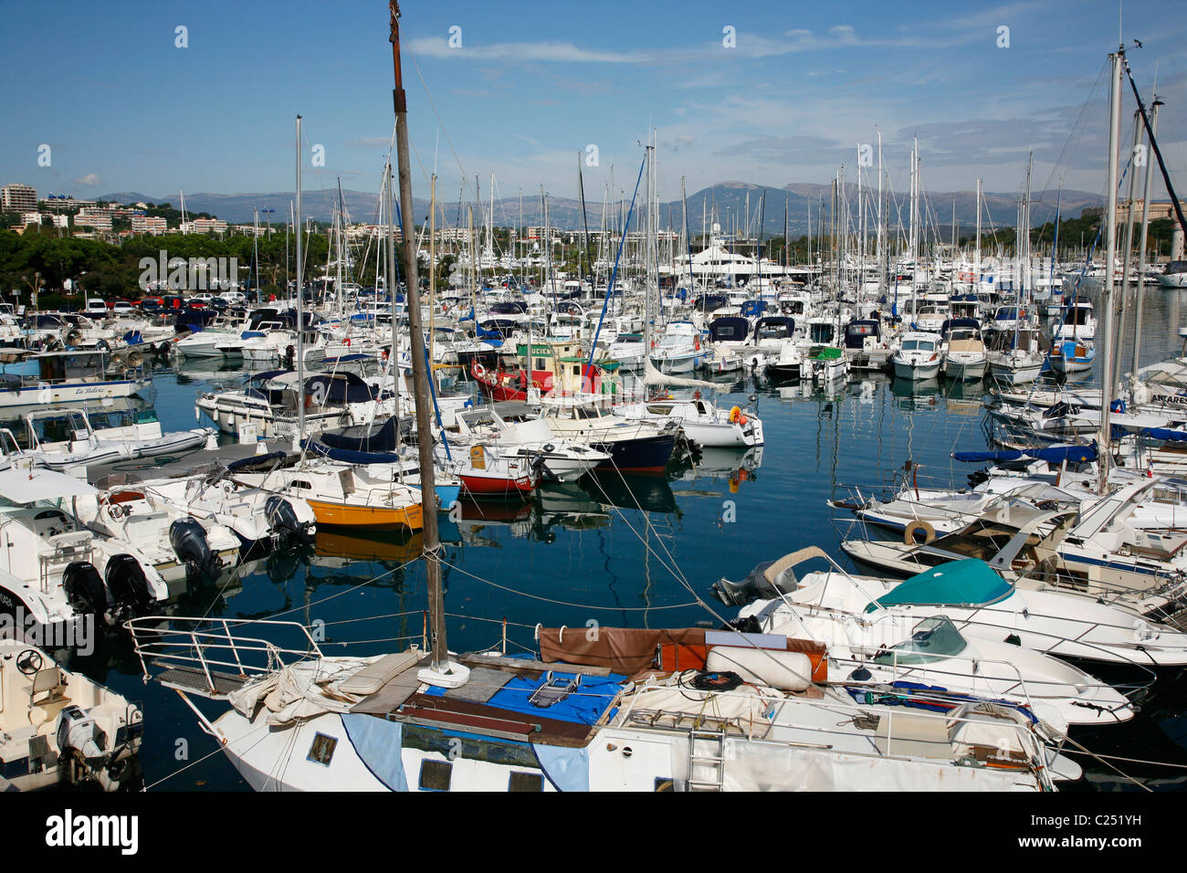 Yacht e imbarcazioni al Port Vauban, Antibes, Alpes Maritimes, Provenza, Francia. Foto Stock