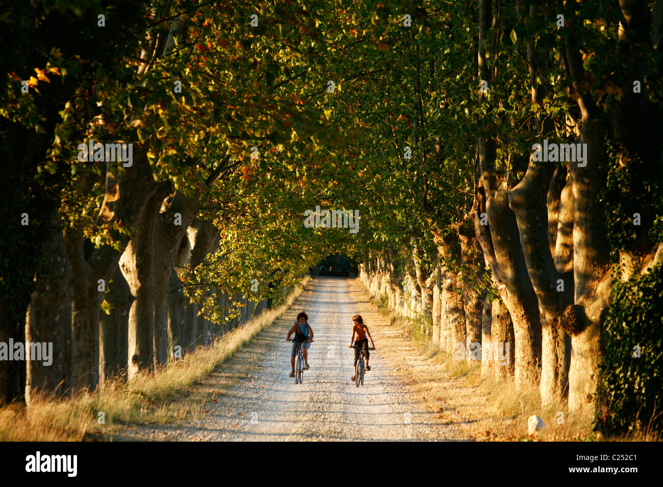 Madre e figlio Bicicletta Equitazione, Luberon colline, Vaucluse Provence, Francia. Foto Stock