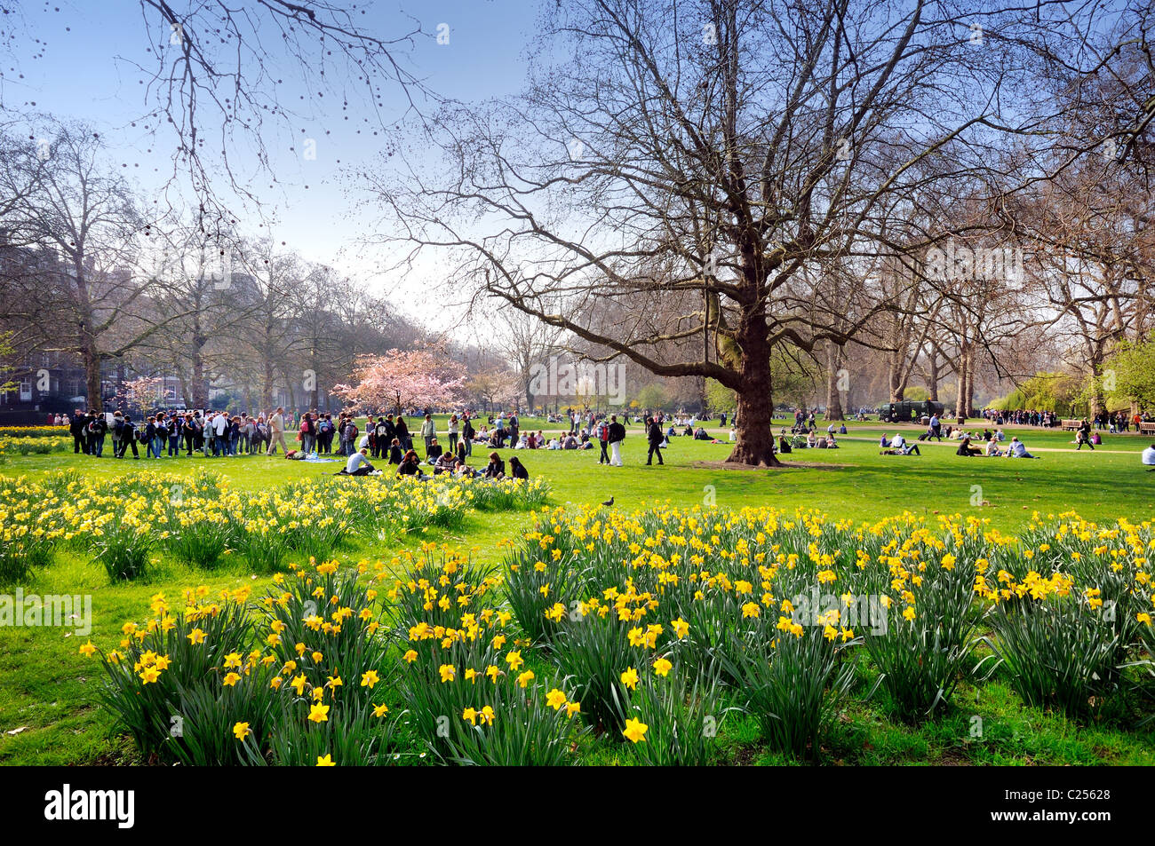 St.James Park in primavera London REGNO UNITO Foto Stock