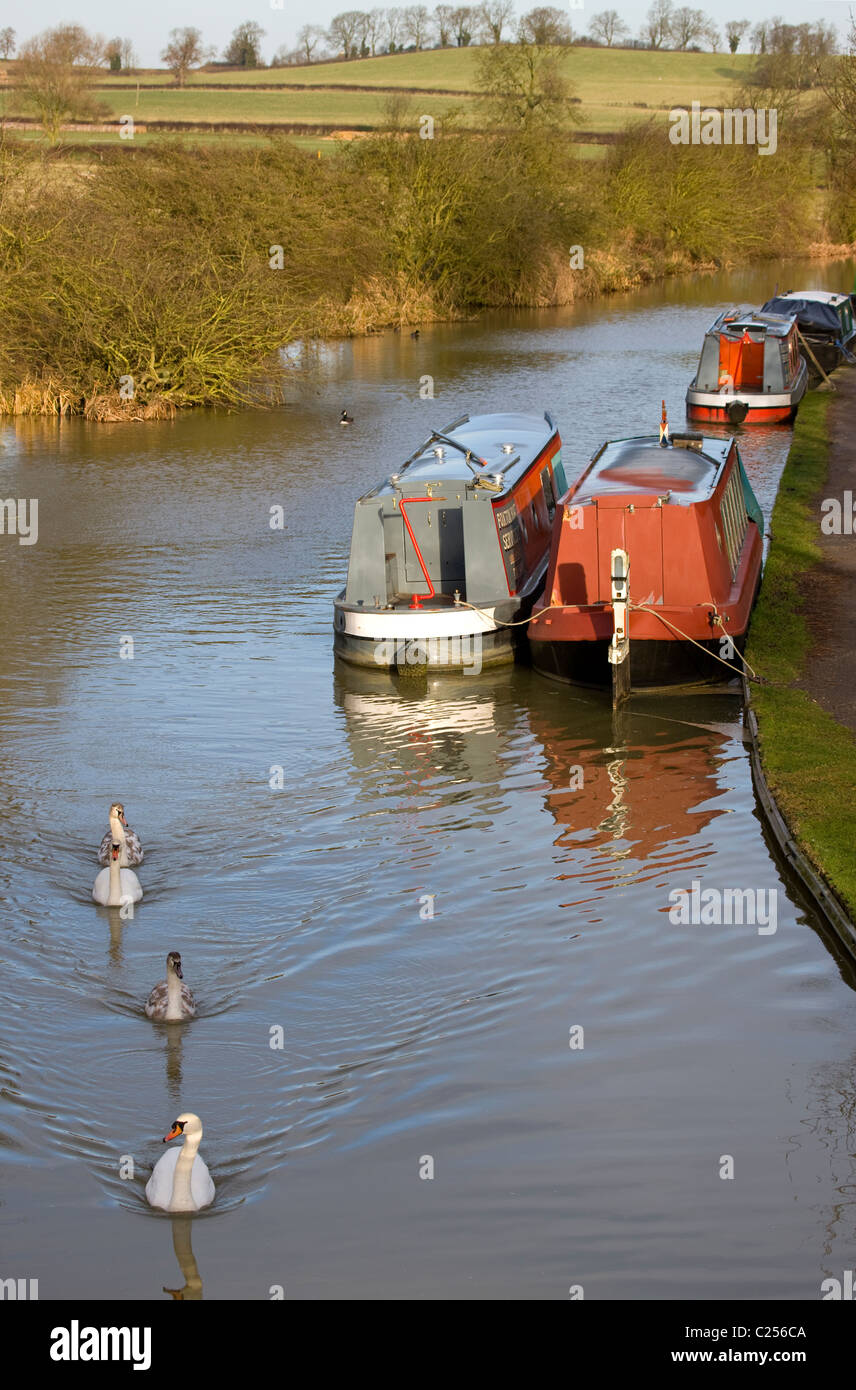 Cigni e sulla chiatta Foxton blocca vista dal Ponte di Arcobaleno lungo il Grand Union Canal a Foxton Foto Stock