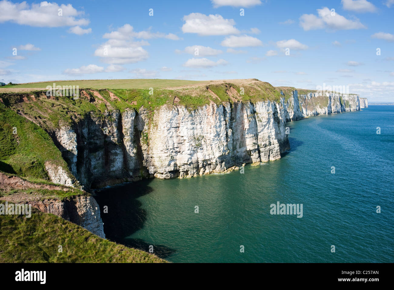 Chalk cliffs guardando verso Bempton da Thornwick Bay, Flamborough, East Yorkshire Foto Stock