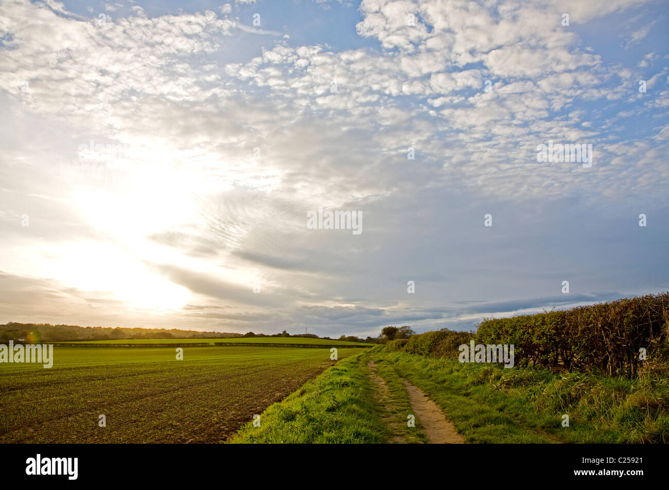 Terreni agricoli circostanti boschi Hetchell Foto Stock