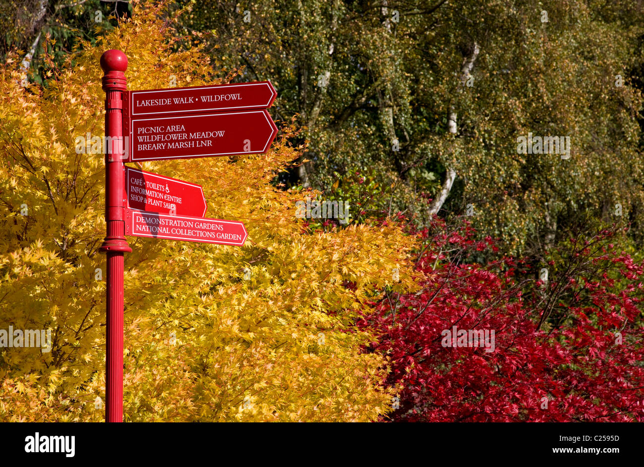 Golden Acre Park Foto Stock