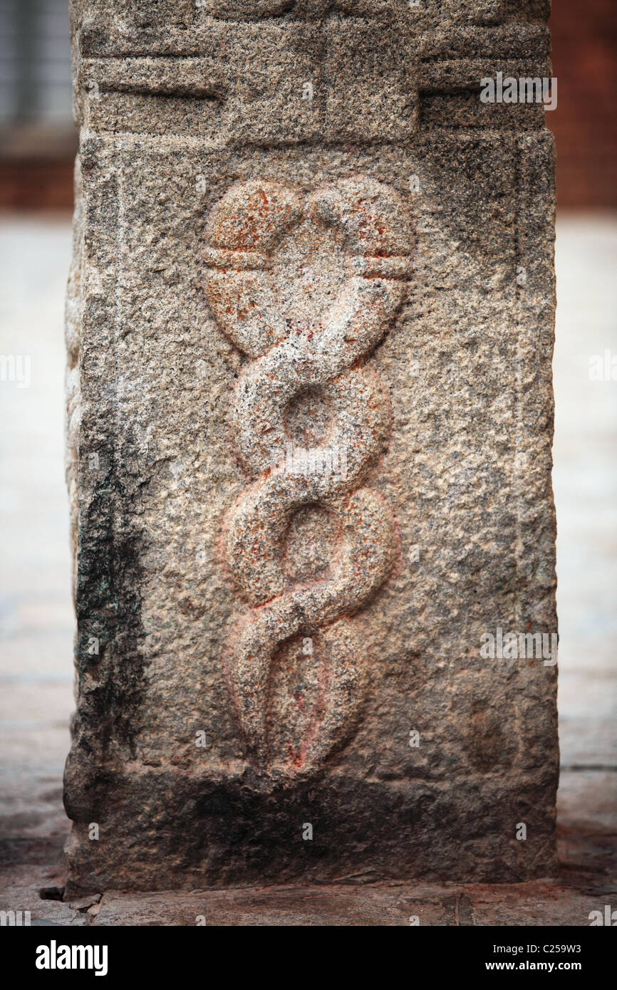 La kundalini serpenti come il caduceo India del Sud Foto Stock