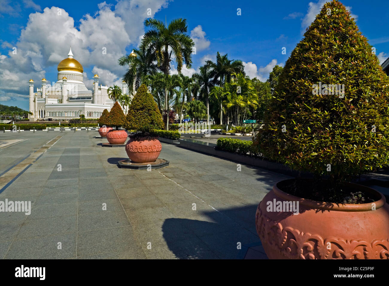 Il sultano la Moschea di Omar Ali Saifuddien Bandar Seri Begawan, Negara Brunei Darussalam con il colore di primo piano di arbusti ornamentali. Foto Stock