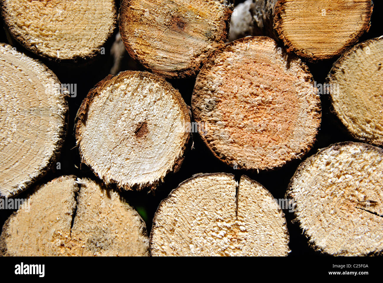 Pila di round registri sovrapposti per legna da ardere - primo piano orizzontale Foto Stock