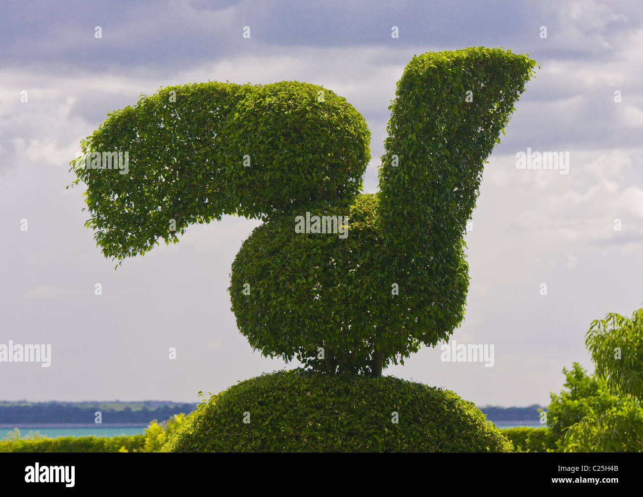 REMATE, GUATEMALA - Topiaria da in giardino, in forma di toucan bird. Foto Stock