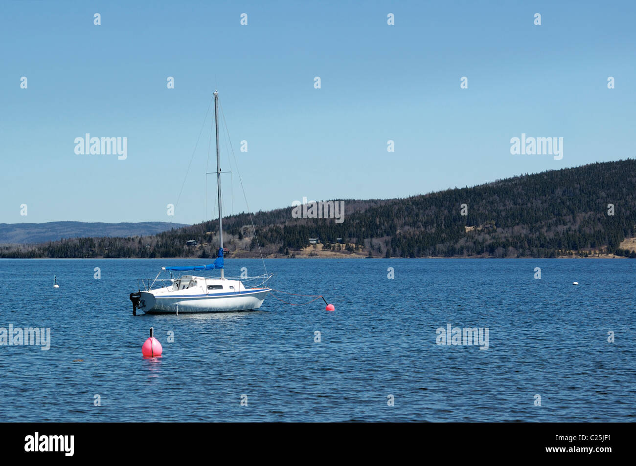 Bianco in barca a vela Foto Stock