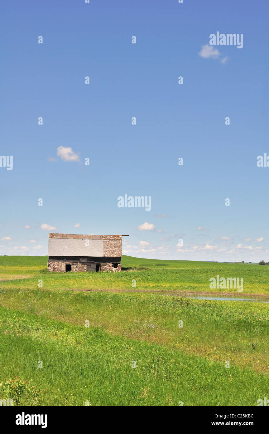 Abbandonata la stalla nel campo Foto Stock