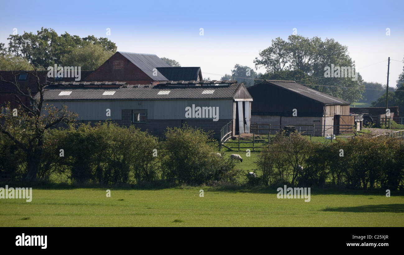 Agriturismo farmland warwickshire agricoltura settore agricoltura Foto Stock