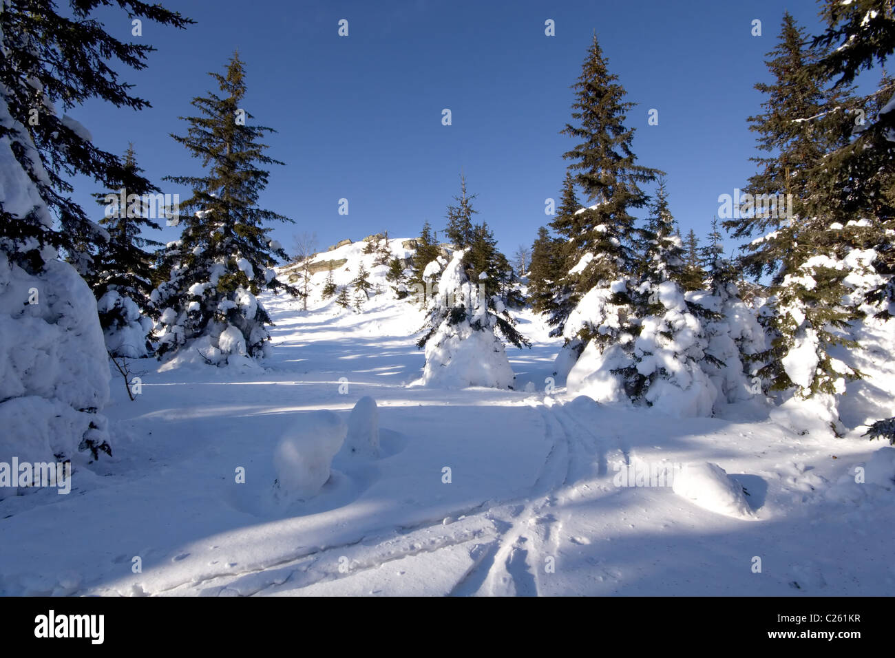 Tranquillo paesaggio invernale.piste da sci, neve. Parco nazionale di Taganay. Sud monti Urali. La Russia. La Taiga. Foto Stock