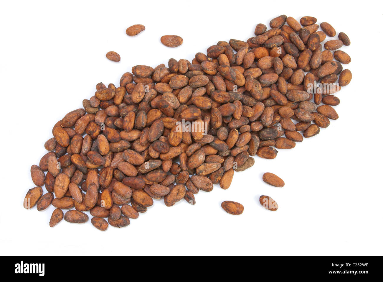 Le fave di cacao dal Madagascar isolati su sfondo bianco Foto Stock
