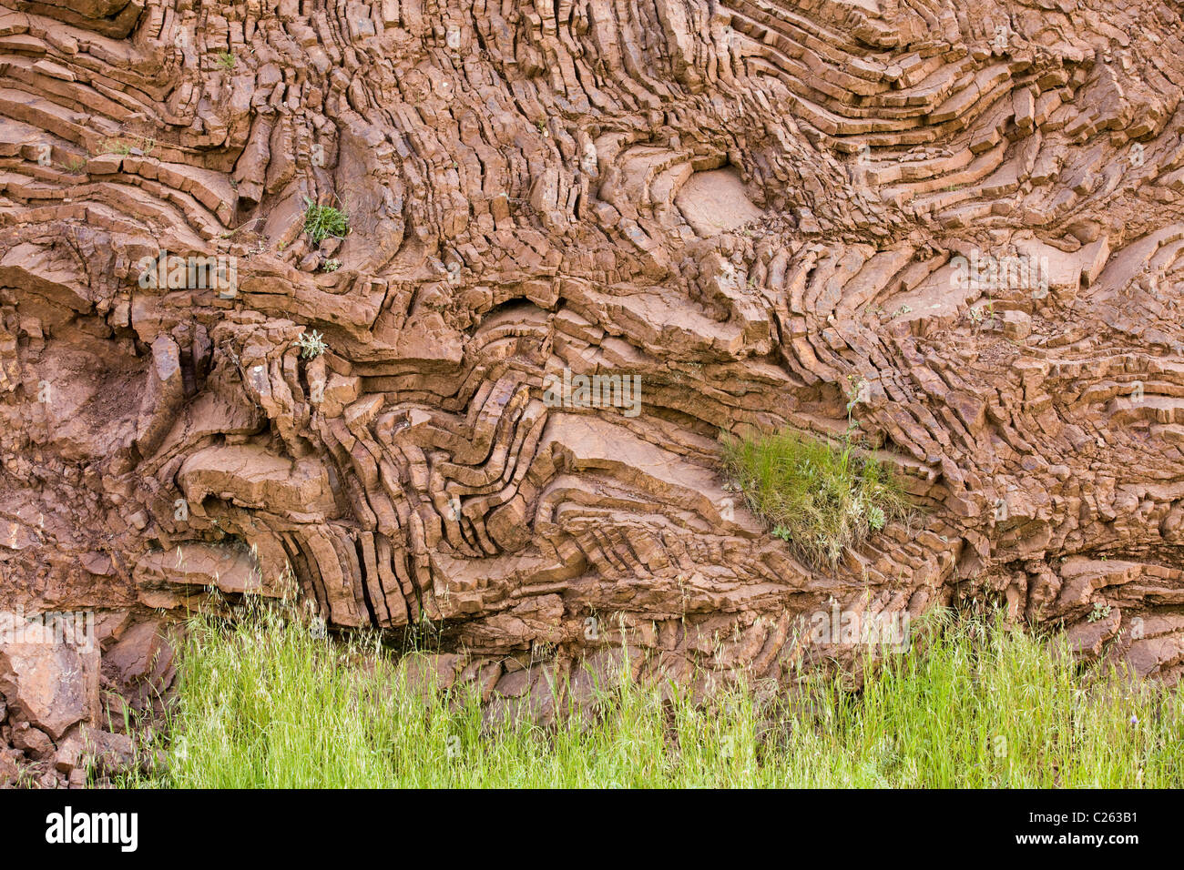 Esposto strati di fogli piegati, ricca di ferro chert rock nel nord della costa della California Foto Stock