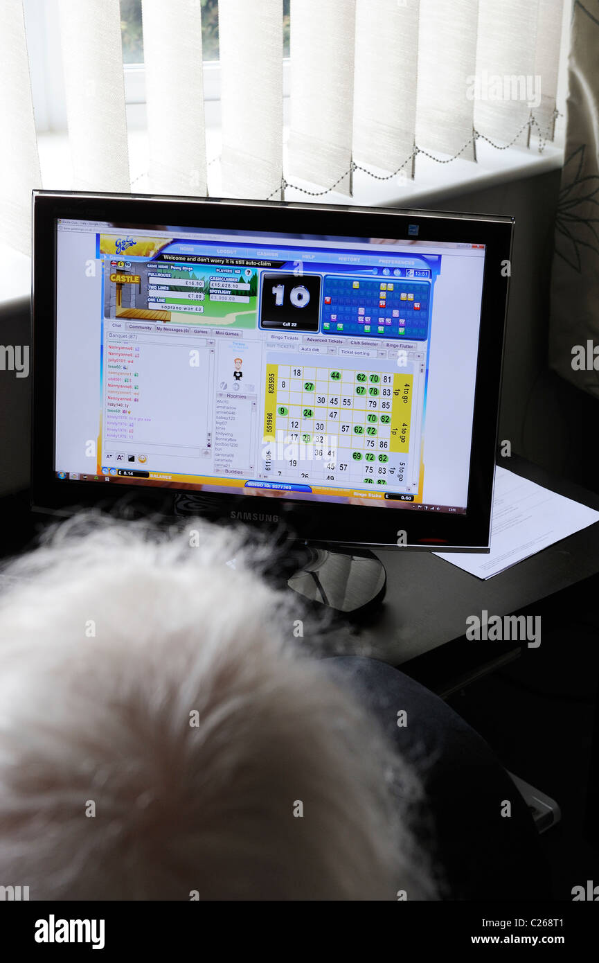 Il vecchio donna più anziana pensionata giocando online bingo England Regno Unito Foto Stock