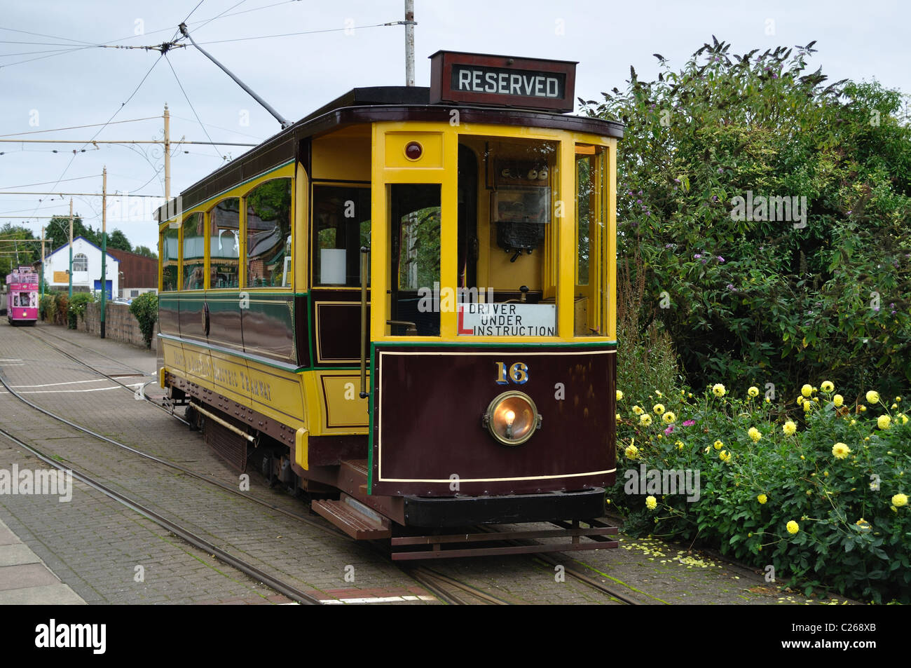 Il Tram 16 a Colyton in uso per il pilotaggio di esperienza del corso. Foto Stock