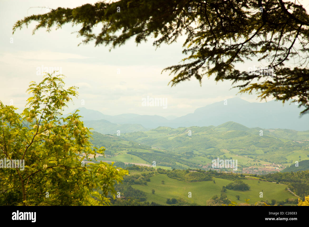 Colline e lussureggiante campagna nelle Marche Italia. Foto Stock