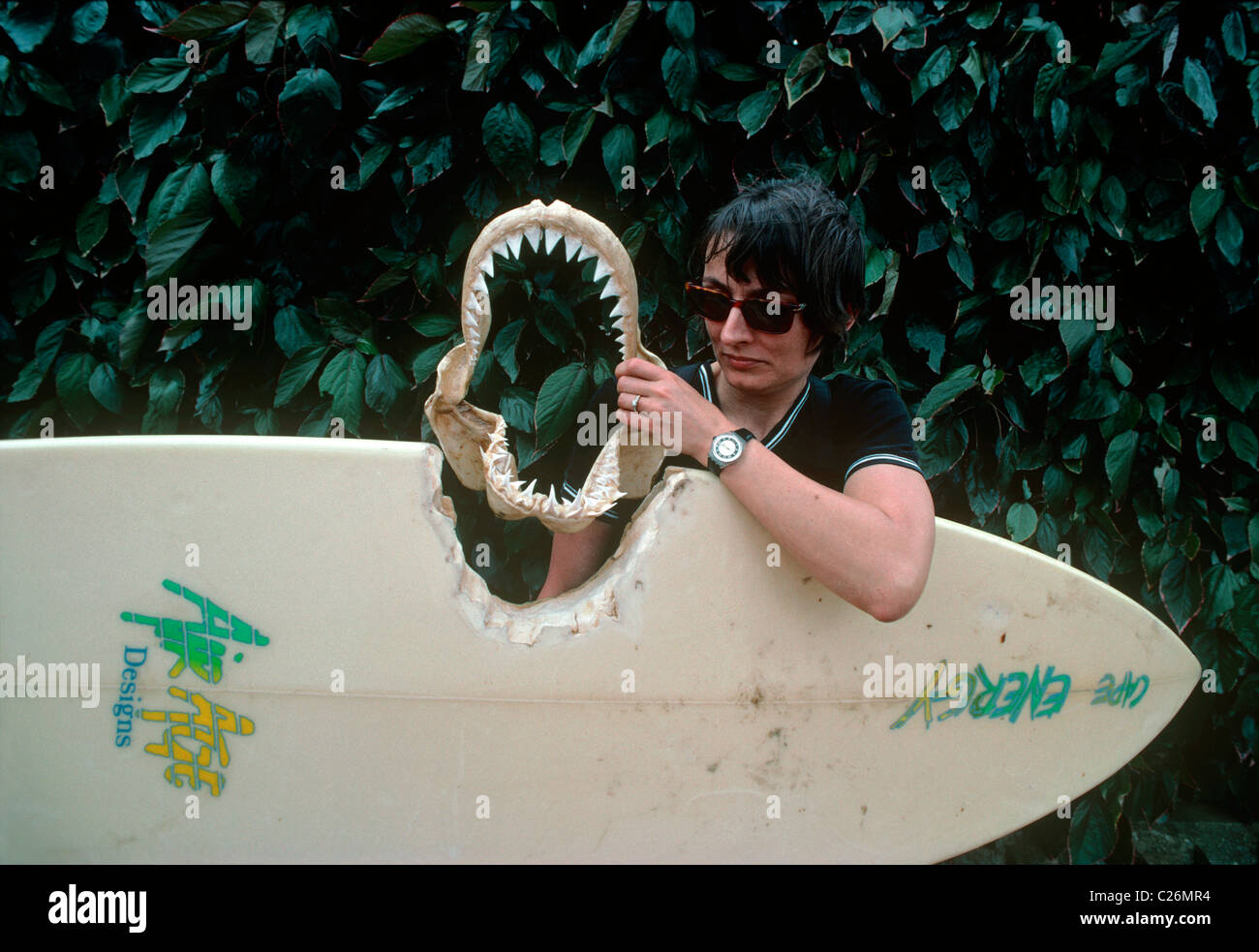 Tavola da Surf morso da grande squalo bianco (Carcharodon carcharias). Spiaggia di Durban, Natal, Sud Africa Foto Stock