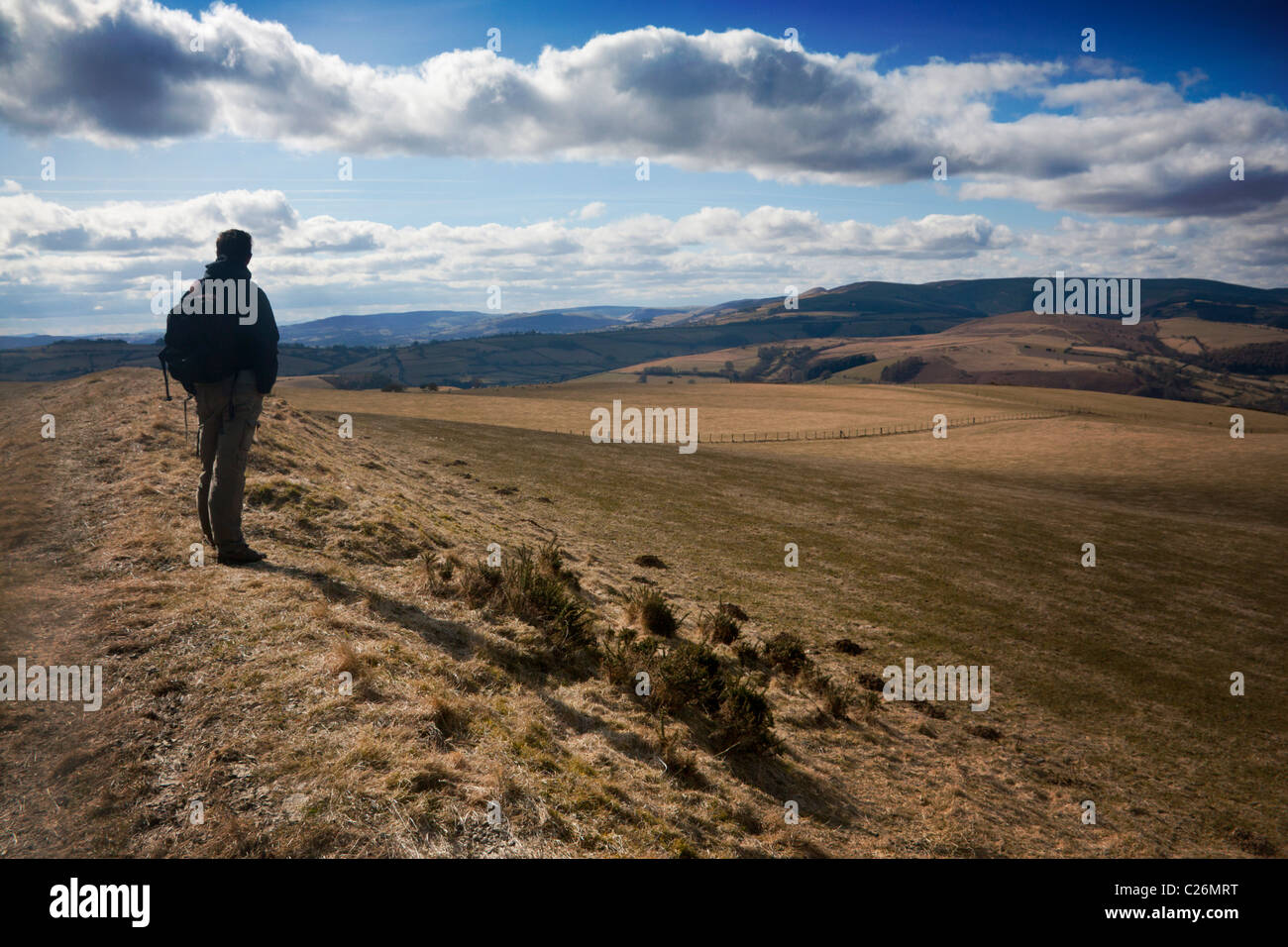 Walker su Offa's Dyke lunga distanza sentiero a biancospino collina vicino Knighton Powys Mid Wales UK Foto Stock