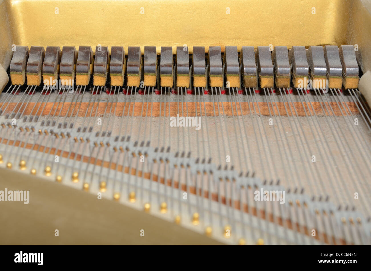 Gli smorzatori interna di un pianoforte Foto Stock