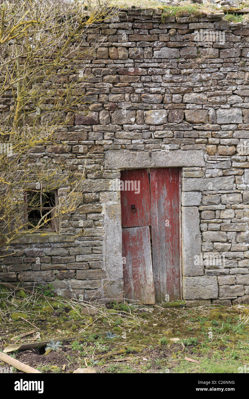 Edifici agricoli abbandonati vicino Stanhope a Weardale, Inghilterra nord-orientale, Regno Unito Foto Stock