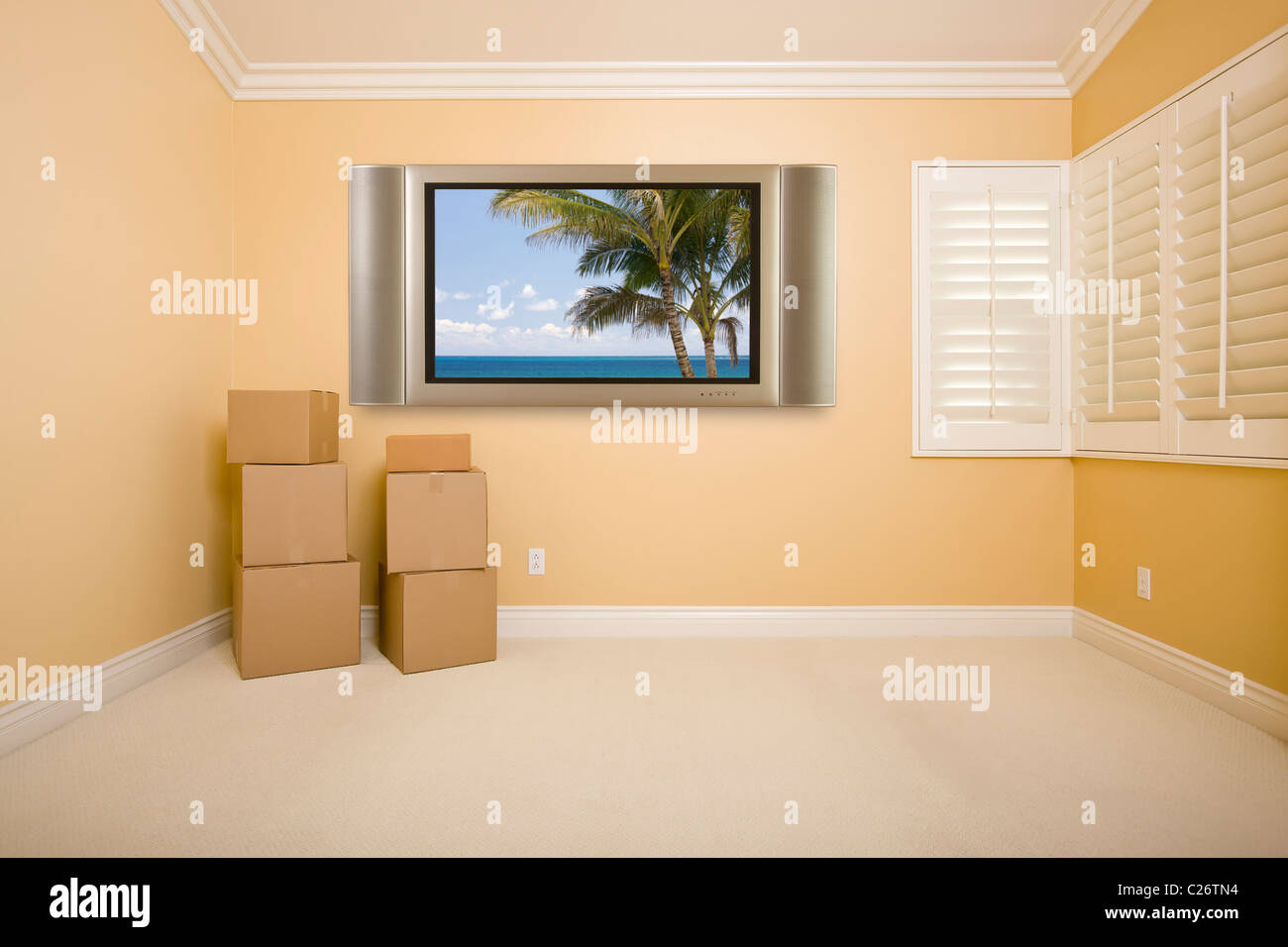 Una televisione a schermo piatto su parete con scena tropicale nella stanza vuota con le caselle. Foto Stock