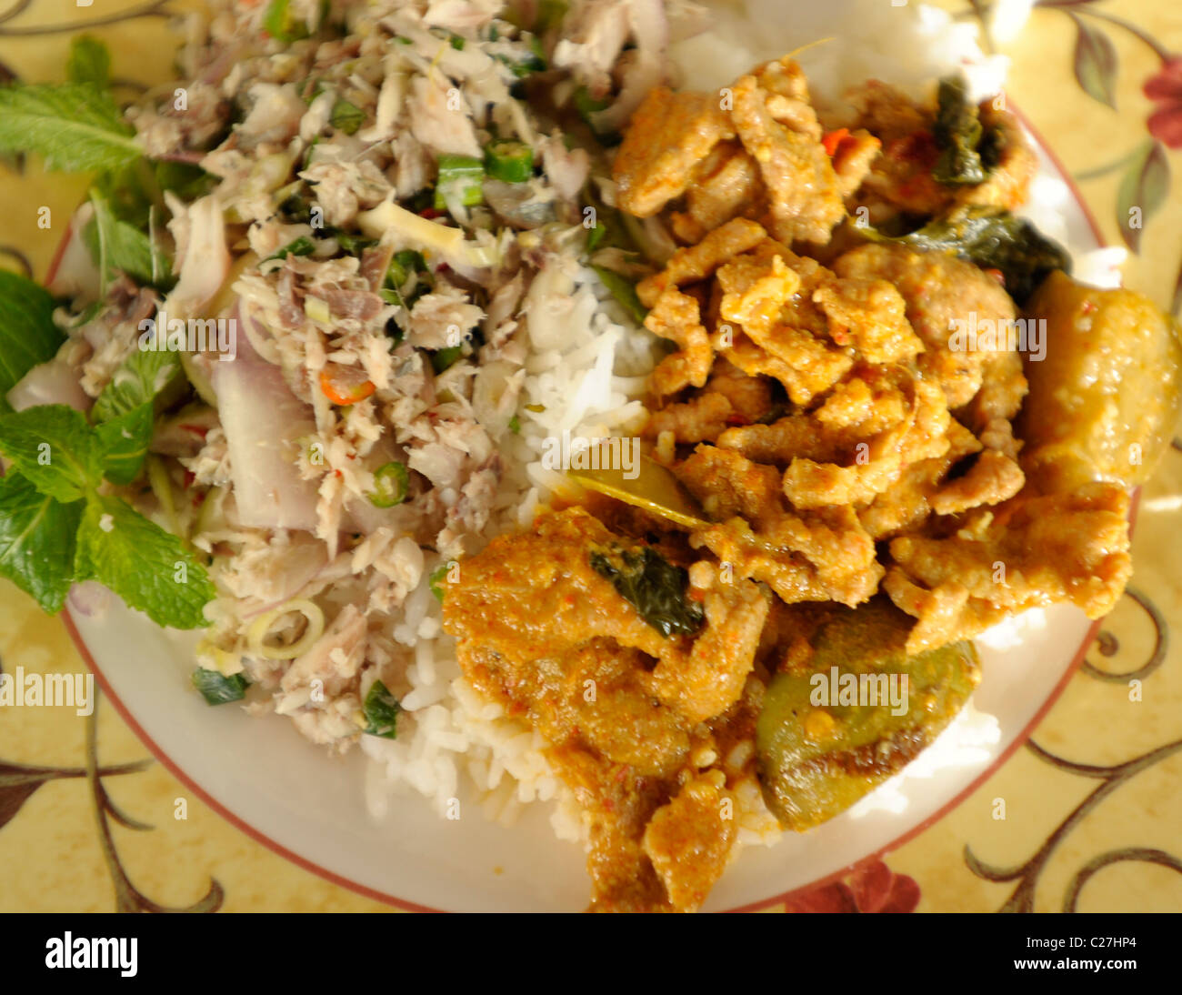 Insalata di pesce e panang curry top sul riso tailandese, fast food, street food, bangkok, Thailandia Foto Stock