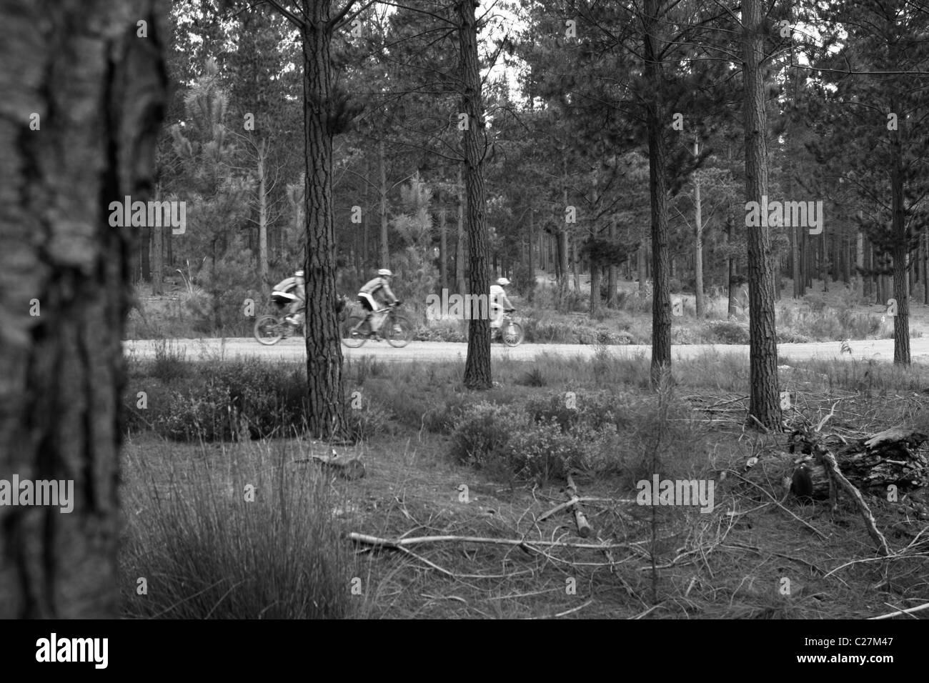 ABSA Cape Epic 2011 Foto Stock