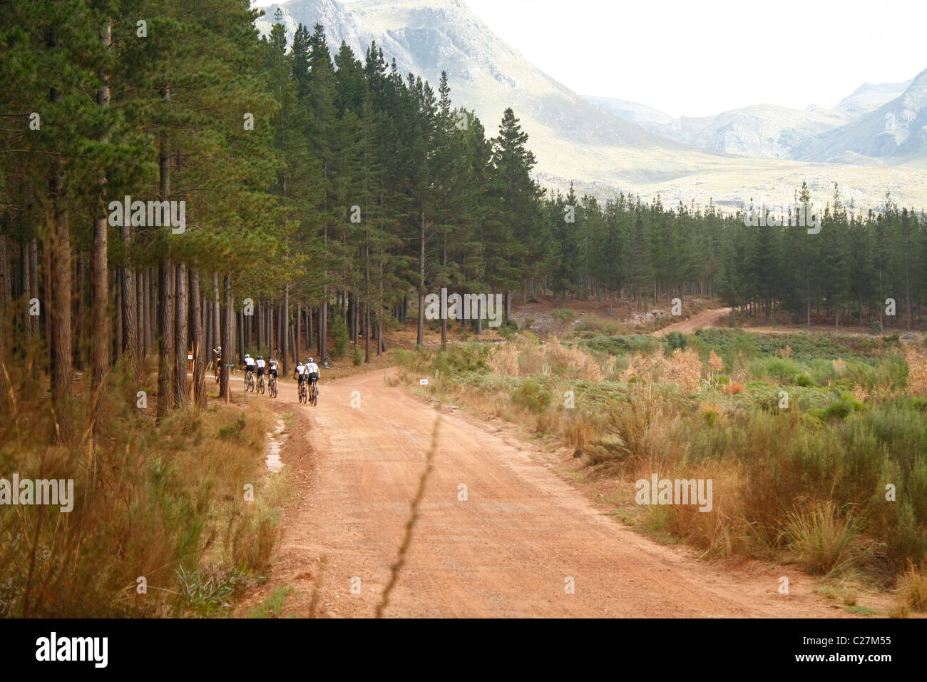 ABSA Cape Epic 2011 Foto Stock