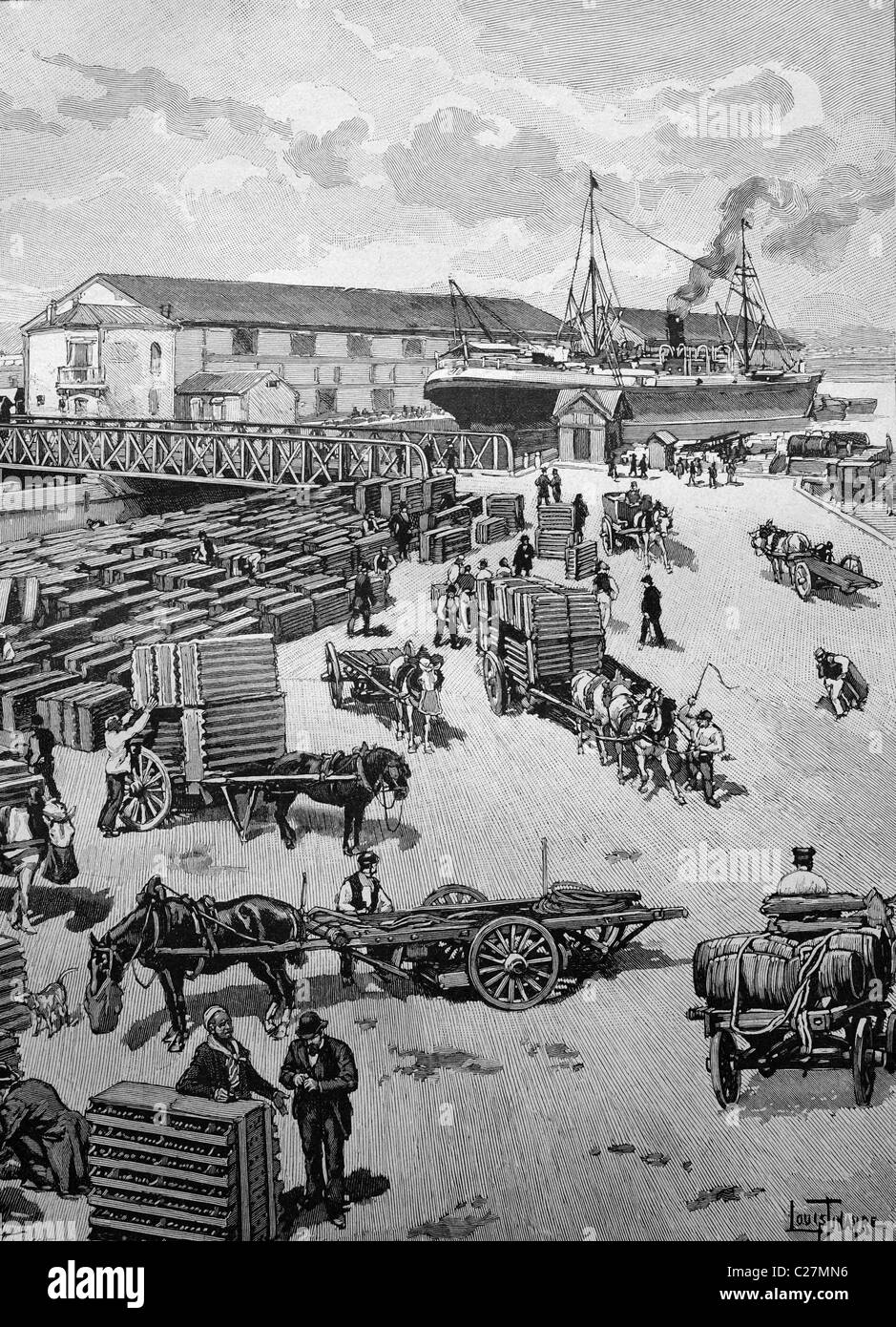 Lo sbarco di una quaglia trasporti provenienti da Egitto a Marsiglia, Francia, illustrazione storico circa 1893 Foto Stock