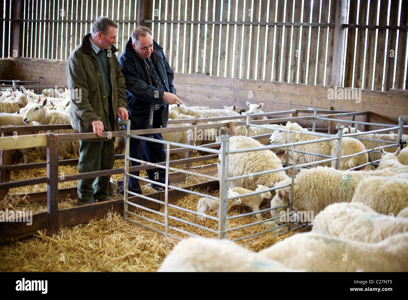 Alex Salmond highland tour elettorale Foto Stock