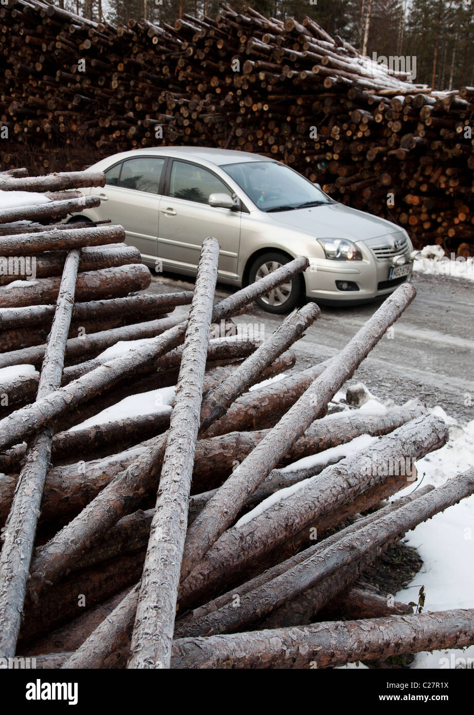 Pine ( Pinus sylvestris ) log di pelo e Toyota Avensis 2007 , Finlandia Foto Stock