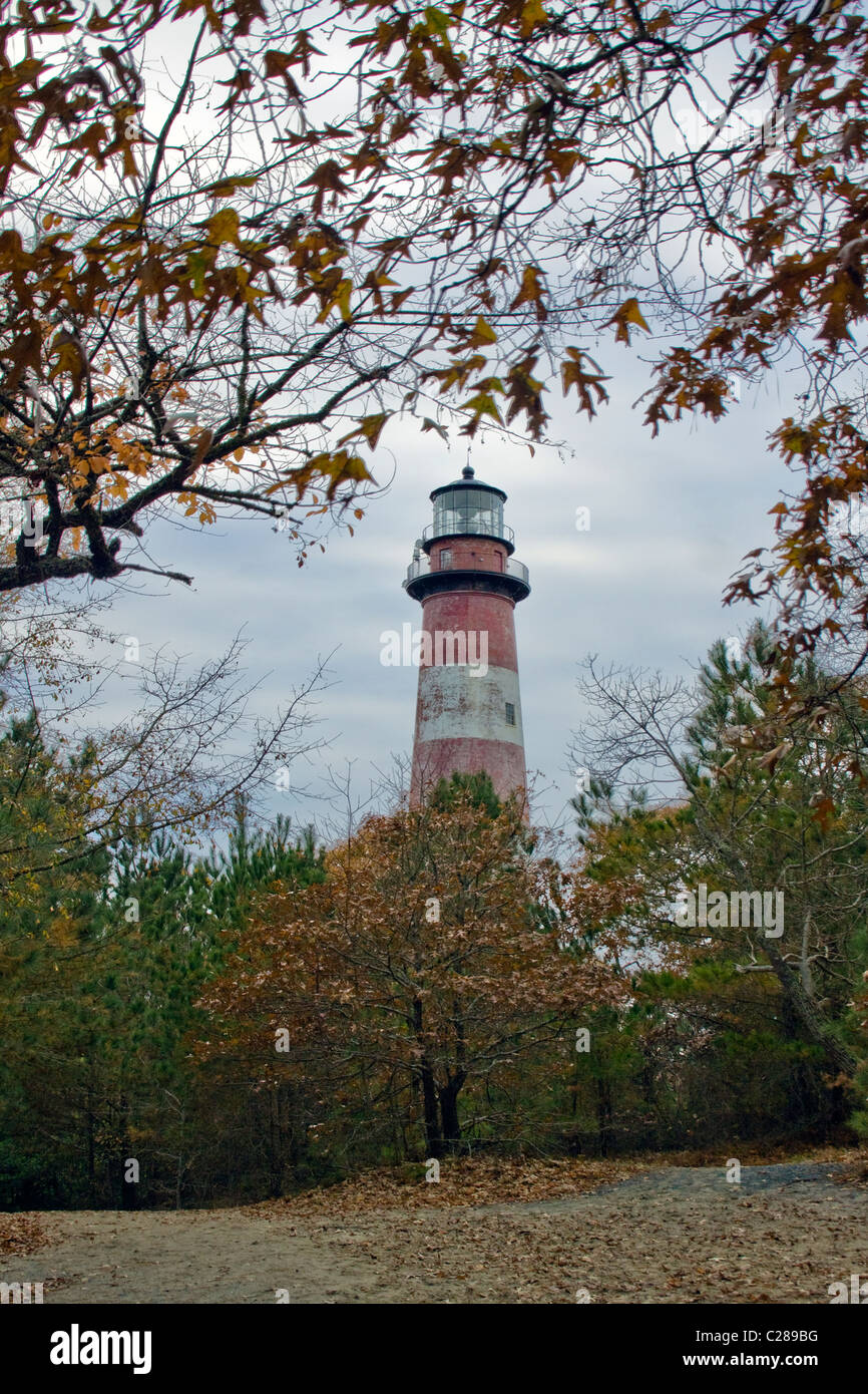 Vista di Assateague Island Lighthouse in Accomack County Virginia Foto Stock
