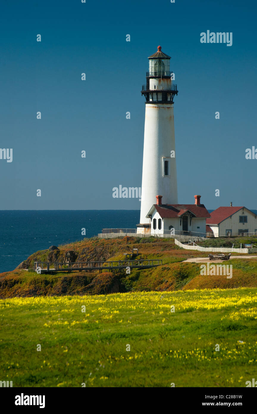 Arroccato su una rupe sulla centrale di costa della California, 50 miglia a sud di San Francisco, è il 115-piede Pigeon Point Lighthouse. Foto Stock