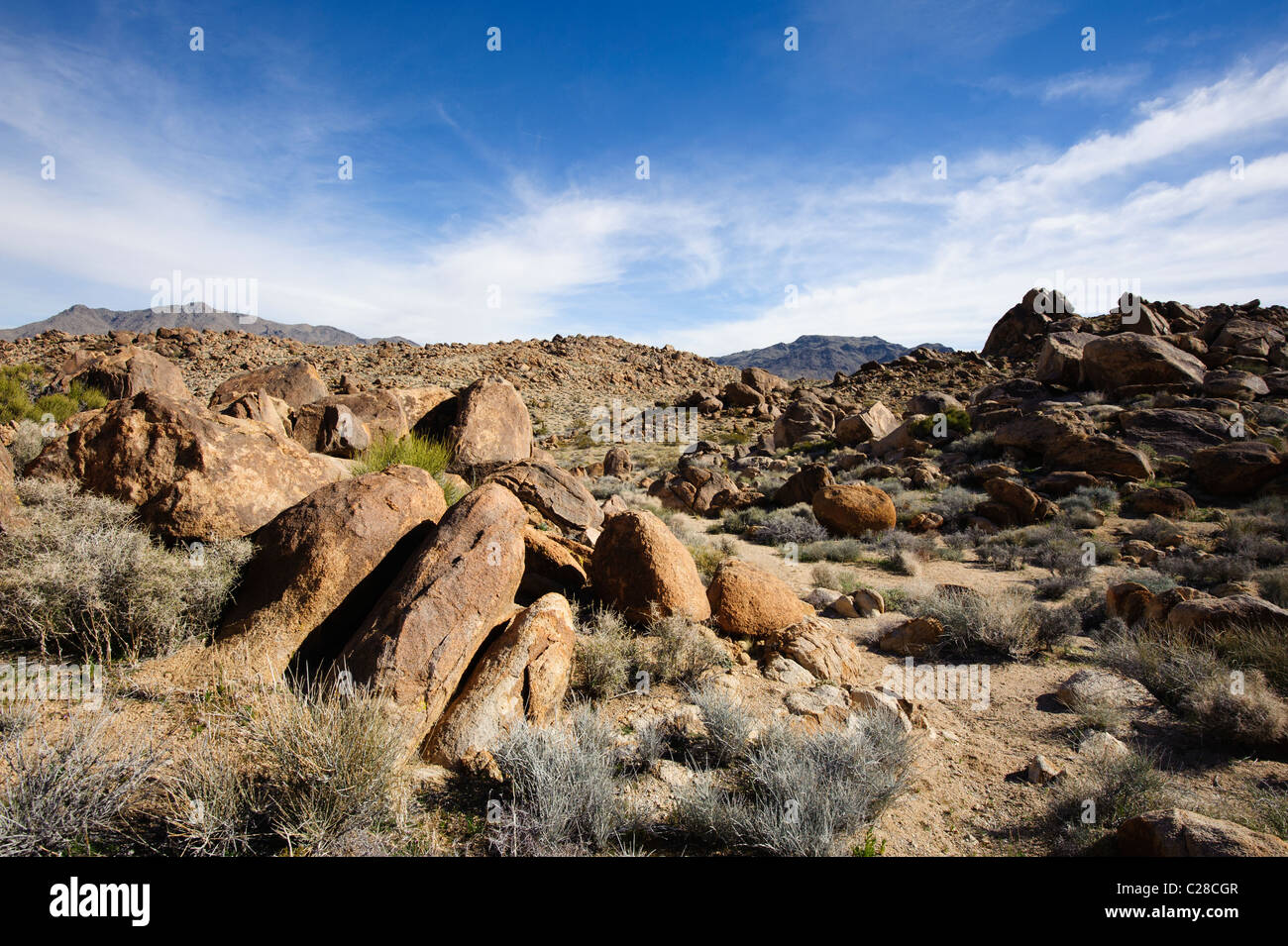 Tipico habitat Chukar nel deserto di Mojave Foto Stock