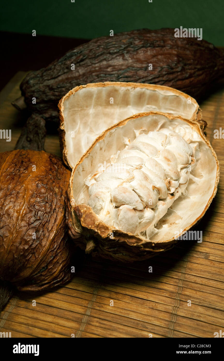 Le fave di cacao sbuccia con chicchi di cioccolato all'interno di teobroma frutta. Foto Stock