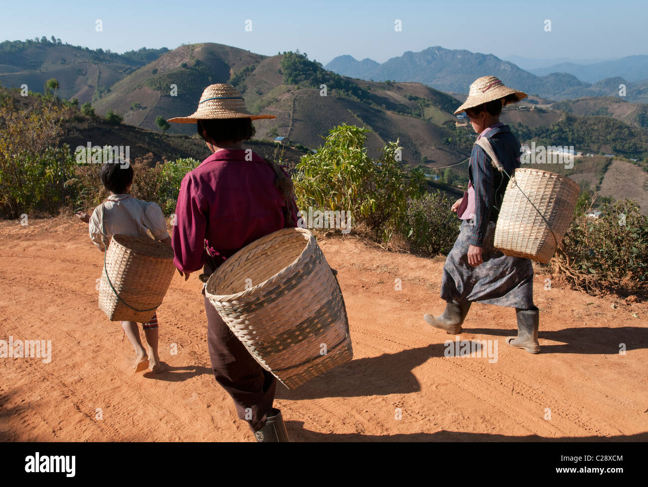 Gli agricoltori femmina sul modo per il loro campo con ceste di bambù. Shan colline. Myanmar Foto Stock