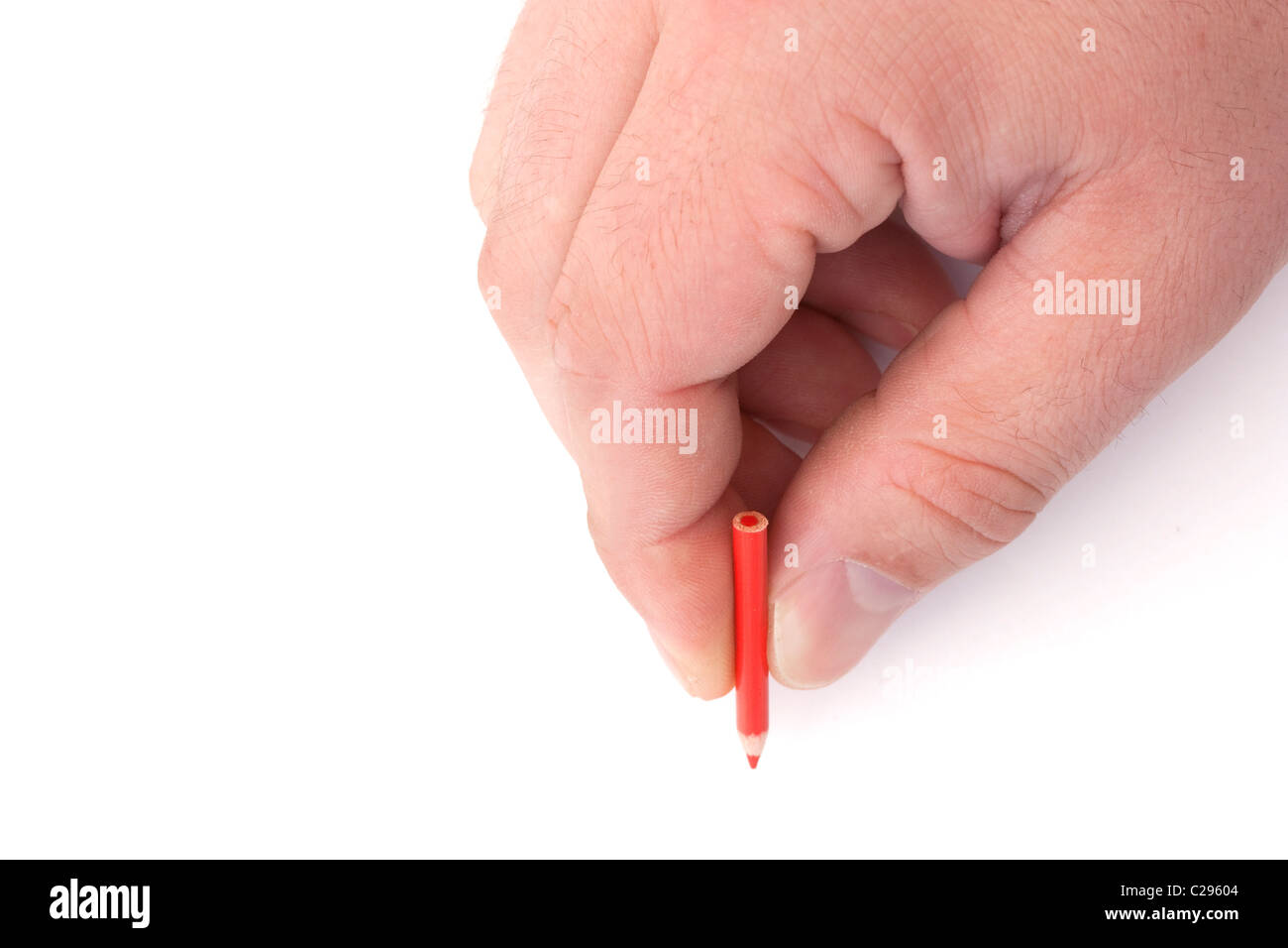 Man mano che regge una piccola matita rossa su uno sfondo bianco Foto Stock