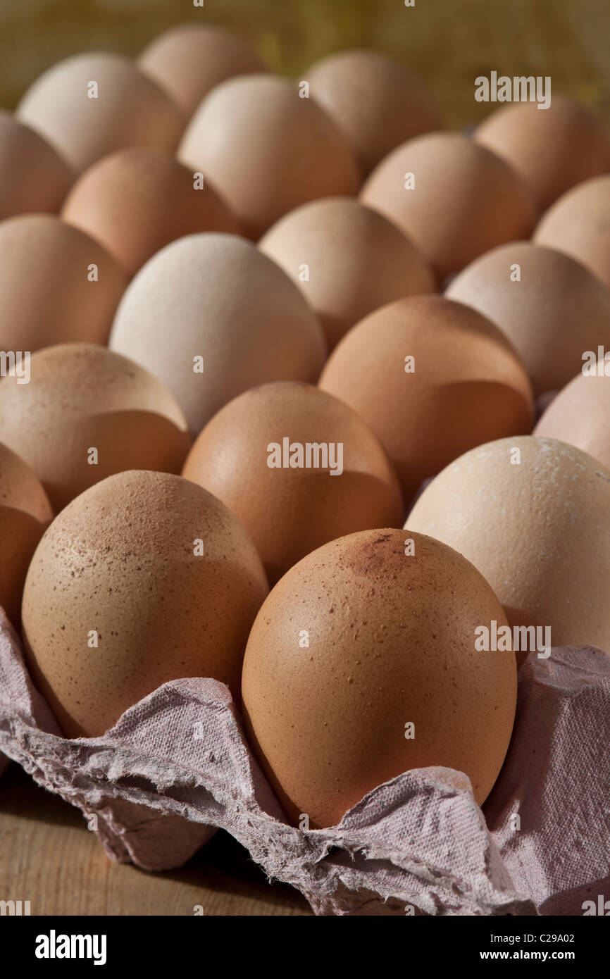 Il vassoio senza intervallo uova di gallina animale rescue center bianco marrone mista fresca di cui produrre sano Foto Stock