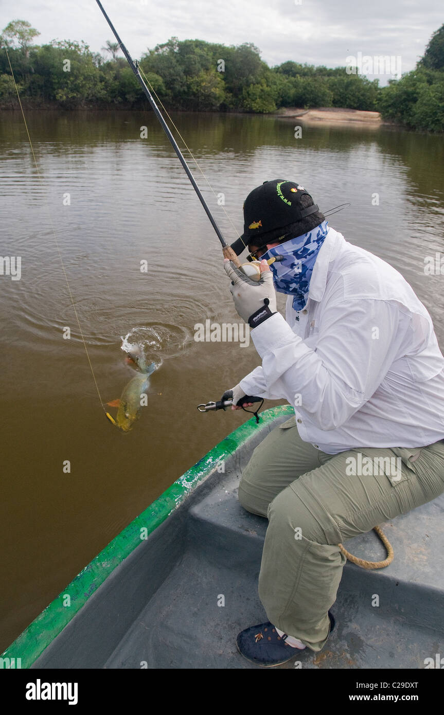 Peacock bass amazon colombia fishing orinoco immagini e fotografie stock ad  alta risoluzione - Alamy