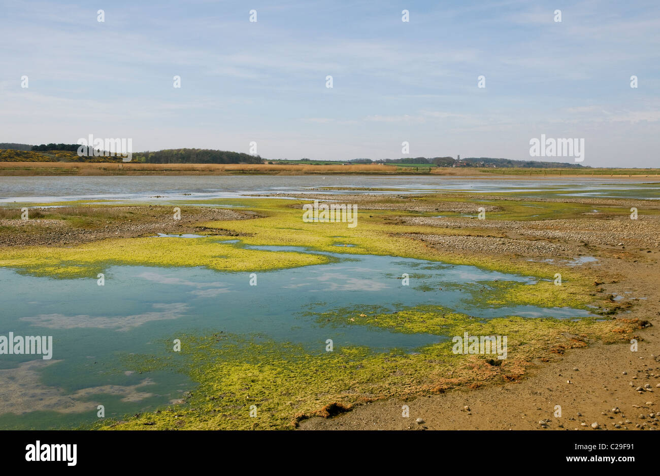 Salthouse paludi, North Norfolk, Inghilterra Foto Stock