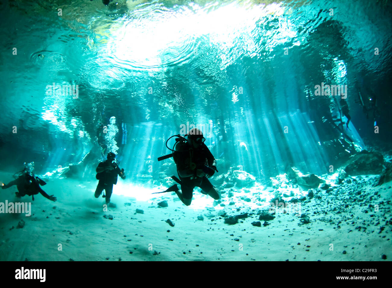 I subacquei in un cenote in Messico. Foto Stock
